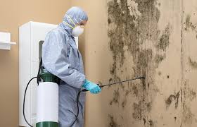 Best Mold Documentation for Insurance Claims  in Perryville, MO